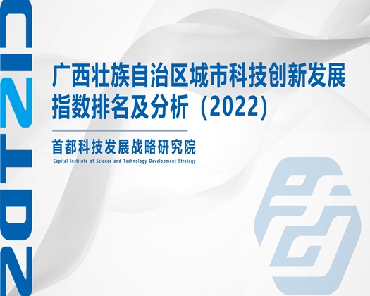 www.骚逼逼.com【成果发布】广西壮族自治区城市科技创新发展指数排名及分析（2022）